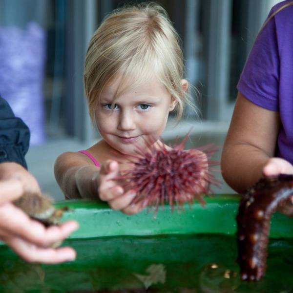 VIU Deep Bay Marine Field Station