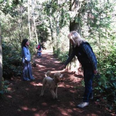 dogs meet and sniff each other on a trail in Parksville Qualicum Beach
