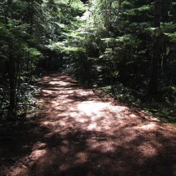trail