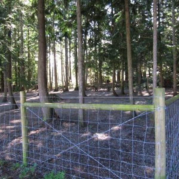 Fenced Area