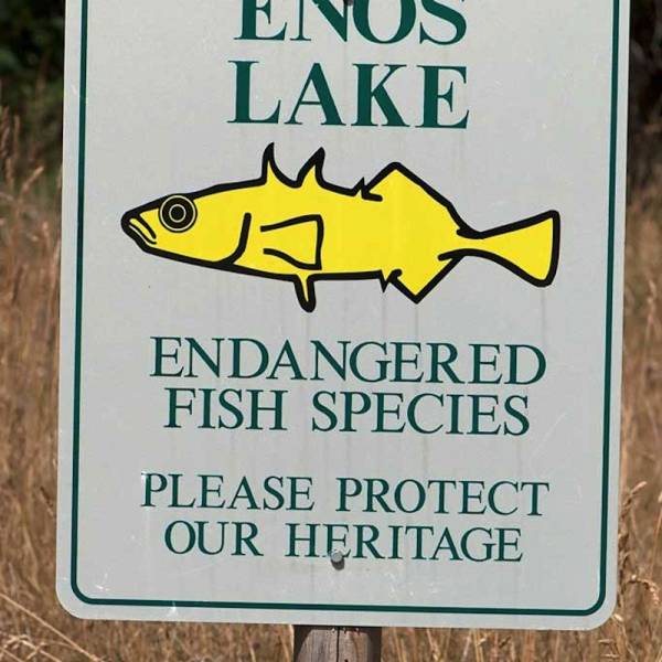 Enos lake sign