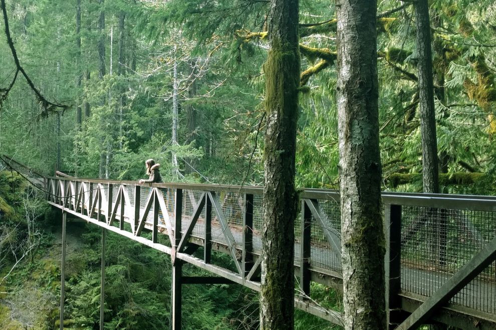 Bridge at Englishman River Falls. Image: Grace Furman