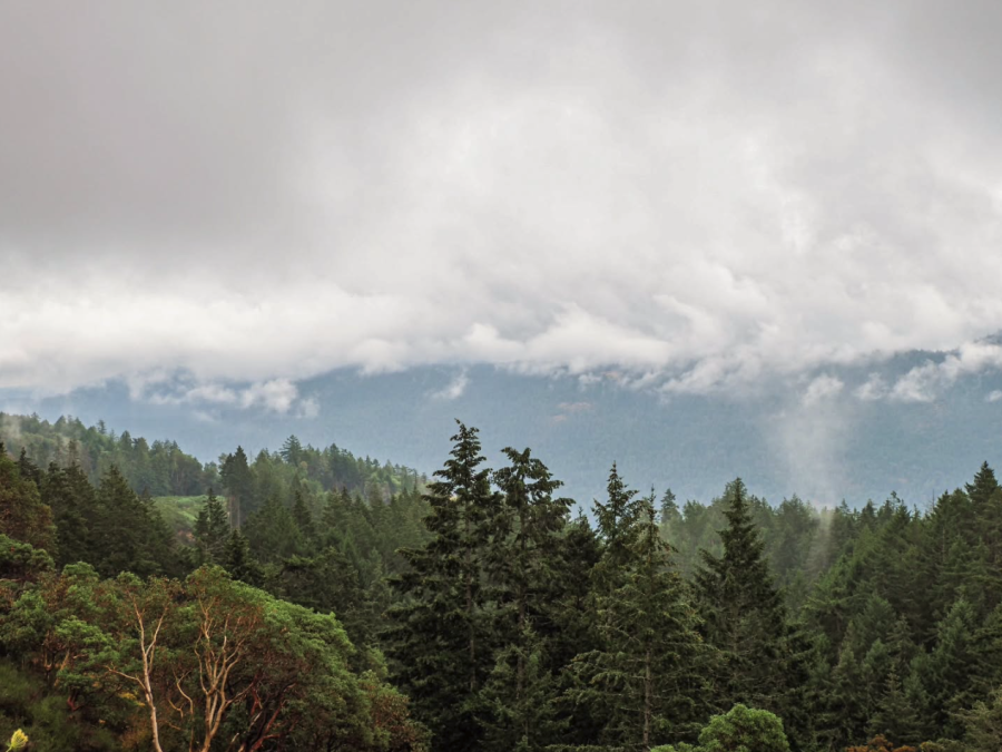 moments.captured.by.jess Storm clouds rolling over forest in Parksville Qualicum Beach BC Vancouver Island Canada