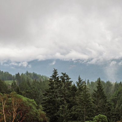 moments.captured.by.jess Storm clouds rolling over forest in Parksville Qualicum Beach BC Vancouver Island Canada