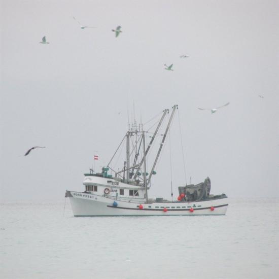 large boat on water