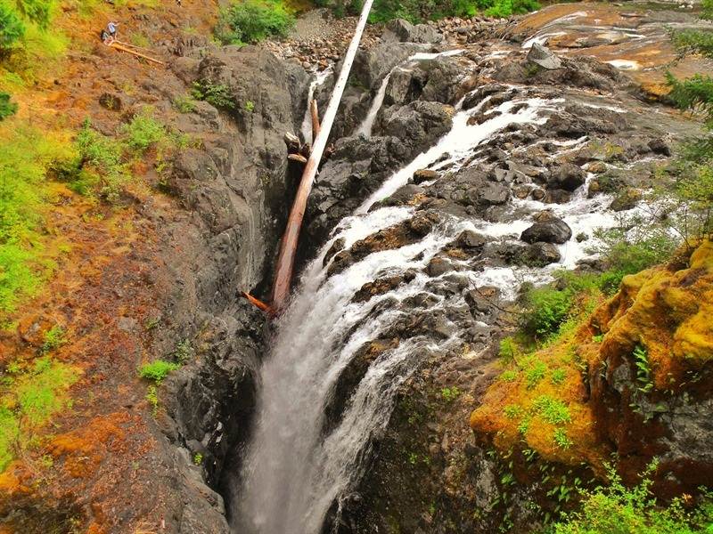 A waterfall surrounded by mossy terrain at Englishman River Falls Provincial Park on Vancouver Island.