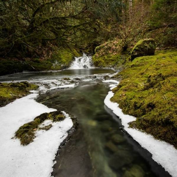 Little Drop on Nile Creek