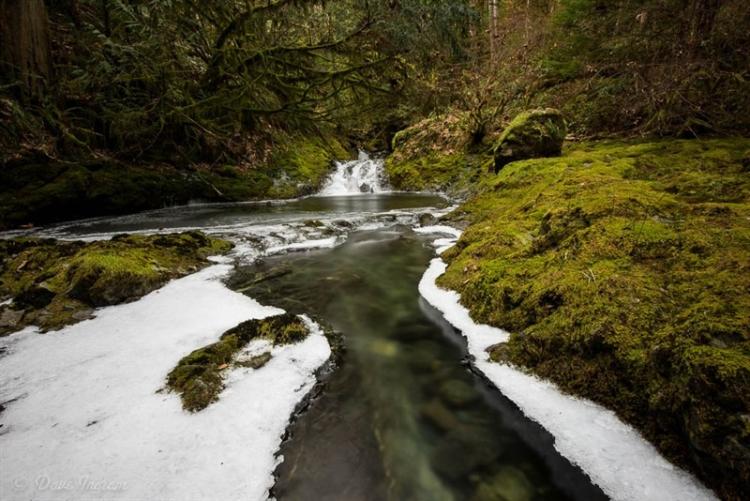 Little Drop on Nile Creek