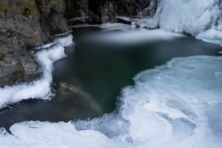 Small Pool on Nile Creek