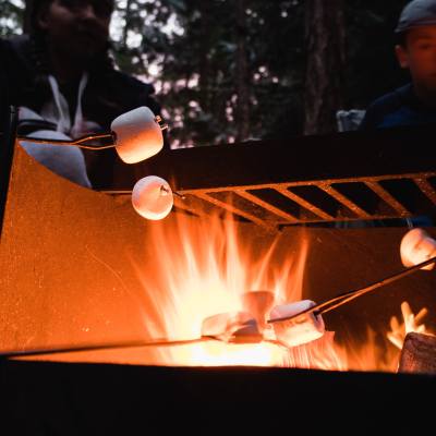 roasting marshmallows over a campfire at a campsite in parksville qualicum beach