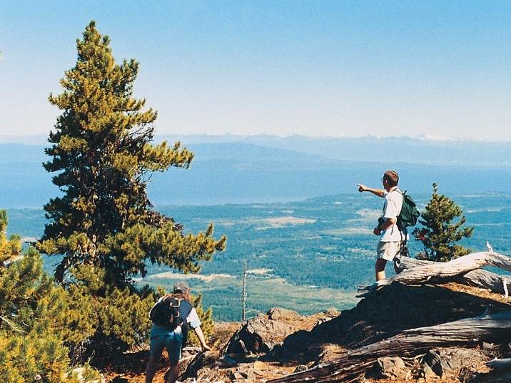 A wide shot view of trees and the horizon from Arrowsmith trail.