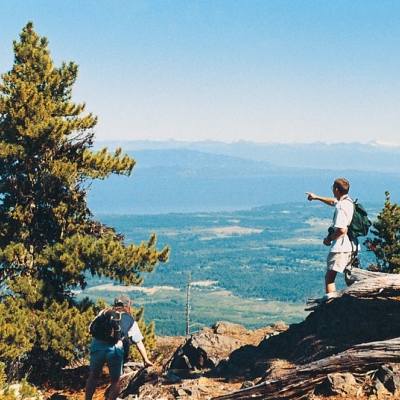 A wide shot view of trees and the horizon from Arrowsmith trail.