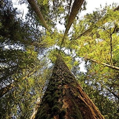 Qualicum Beach Heritage Forest