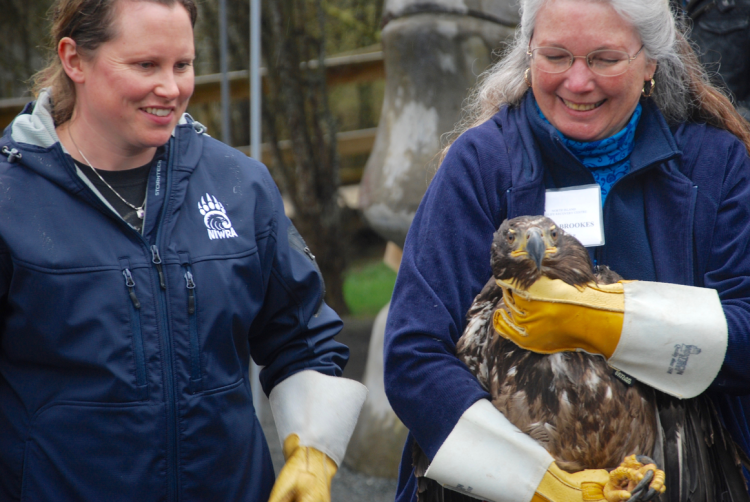 Two employees of the North Island Wildlife Recovery Centre stand holding a rescued eagle.