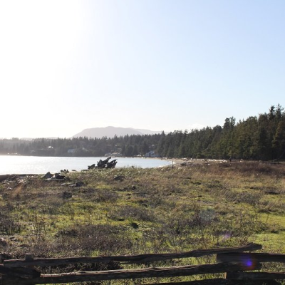 Outdoor scenery revealing the water and nearby woods in Parksville Qualicum Beach