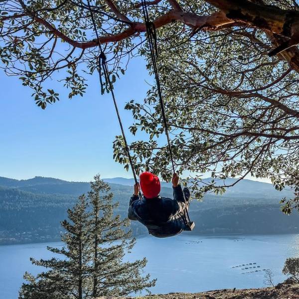 Tree swing at the Notch overlooking Nanoose Bay