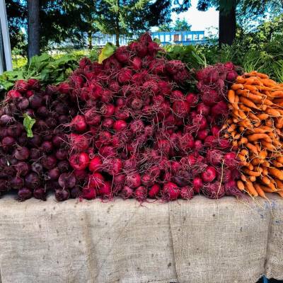 Piles of fresh radishes, beets and carrots on a table at a farmers' market in Parksville Qualicum Beach.