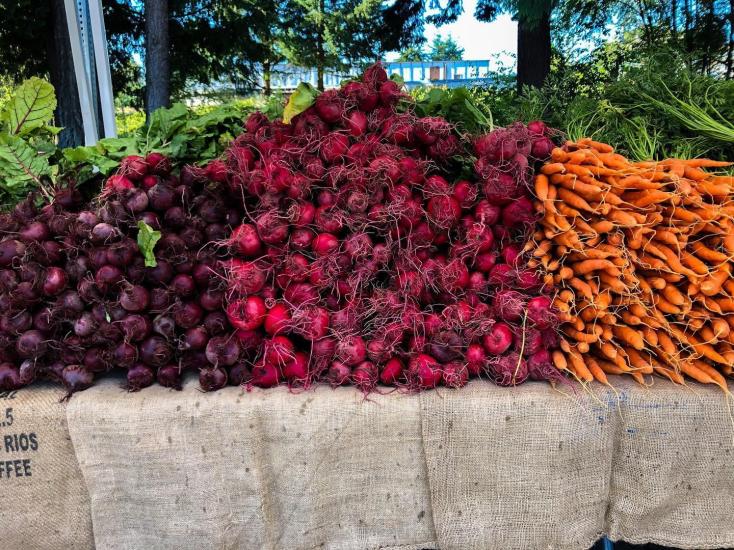 Piles of fresh radishes, beets and carrots on a table at a farmers' market in Parksville Qualicum Beach.