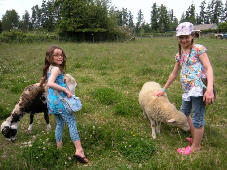 Two children with sheep in a field at Little Qualicum Cheeseworks and Mooberry Winery at Morningstar Farm