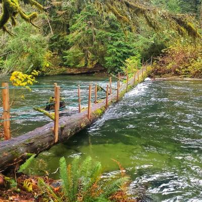 Fall foliage along the banks of the river at Big Qualicum Regional Trail. Image: @west.coast.hiking